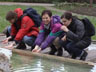 Wasserprobe im Kurpark